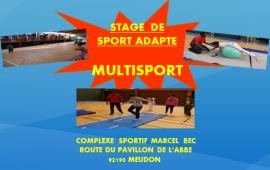 Stage de Multi-sport adapté (92)