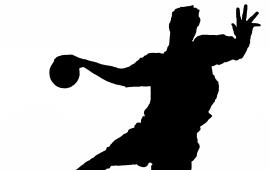 Championnat inter-régional handball sport adapté
