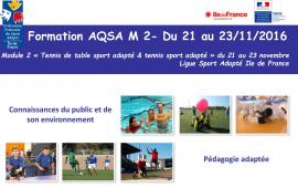 Formation AQSA M2 - Tennis sport adapté & TT SA