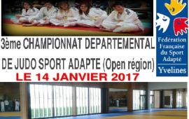 Championnat départemental judo sport adapté 78