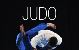 Journée de découverte judo sport adapté 95