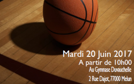 Journée Basket Sport Adapté Tour