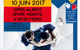 Tournoi Inter-régional de judo sport adapté 
