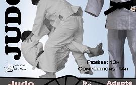Championnat Régional de Judo à Athis-Mons (91200)