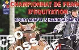 championnat de France d'equitation  2015 (93)