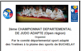 Championnat inter départemental de judo